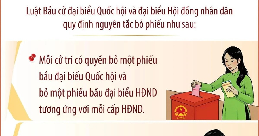 Bầu cử Quốc hội và Hội đồng nhân dân: Nguyên tắc bỏ phiếu