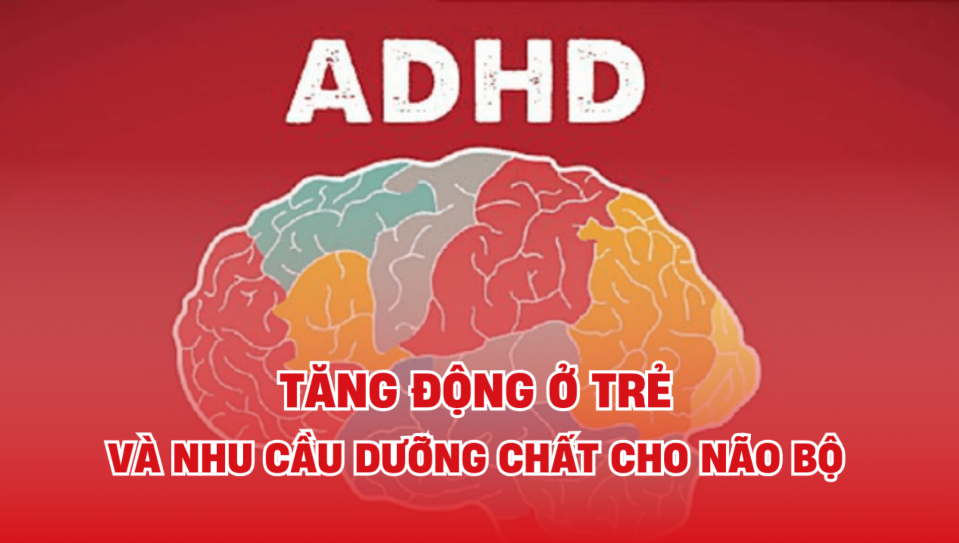 Tăng động ở trẻ và mối liên hệ với dinh dưỡng não bộ