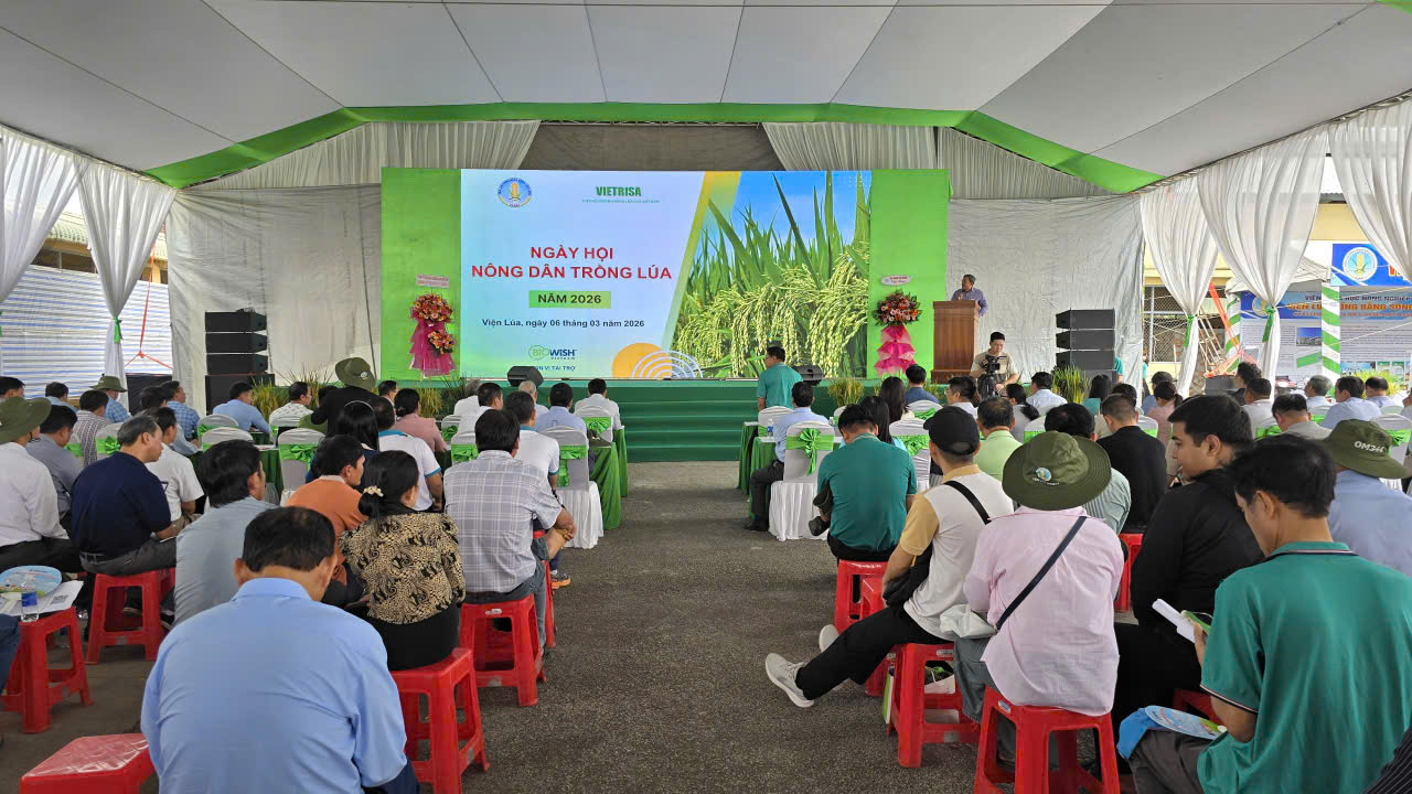 Ngày hội nông dân trồng lúa 2026: Thúc đẩy sản xuất lúa chất lượng cao, giảm phát thải ở ĐBSCL