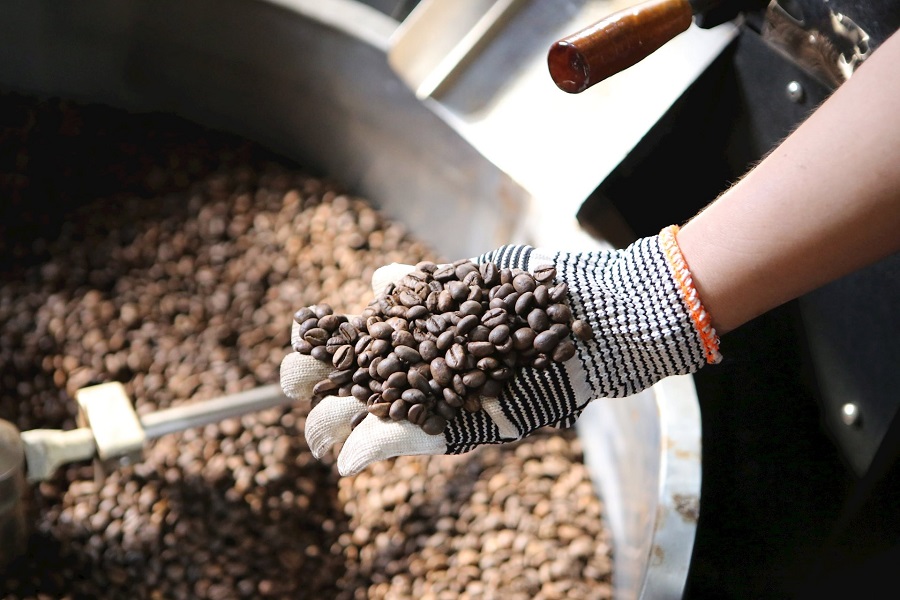 C&agrave; ph&ecirc; l&agrave; sản phẩm chủ lực trong ph&aacute;t triển kinh tế n&ocirc;ng th&ocirc;n tại Nh&acirc;n Cơ