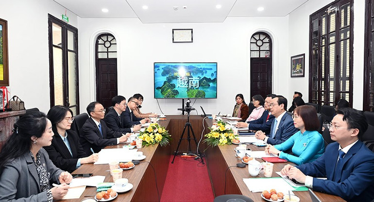 Quang cảnh buổi l&agrave;m việc giữa Cục Du lịch Quốc gia Việt Nam v&agrave; Đo&agrave;n c&ocirc;ng t&aacute;c của Ủy ban Ph&aacute;t triển Văn h&oacute;a v&agrave; du lịch th&agrave;nh phố Tr&ugrave;ng Kh&aacute;nh v&agrave;o ng&agrave;y 6/3 vừa qua. (Ảnh: TITC)