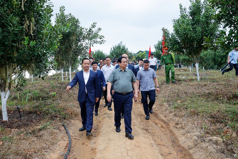Thủ tướng Ch&iacute;nh phủ Phạm Minh Ch&iacute;nh thăm m&ocirc; h&igrave;nh trồng c&acirc;y mắc ca c&ocirc;ng nghệ cao tại bản Huổi Tao B, x&atilde; Pu Nhi, tỉnh Điện Bi&ecirc;n - Ảnh: VGP/Nhật Bắc