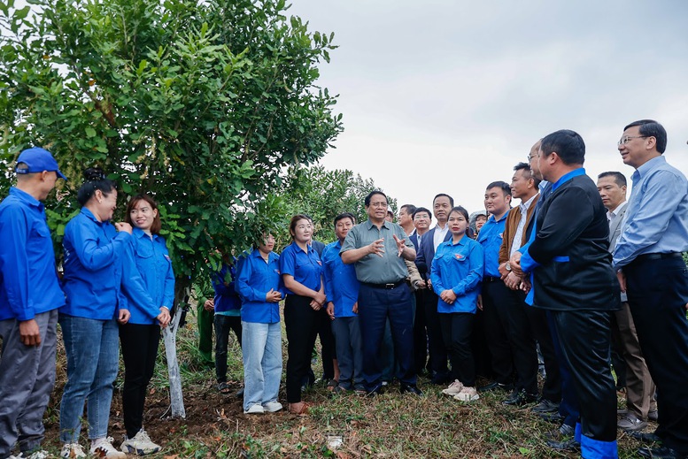 Thủ tướng Ch&iacute;nh phủ y&ecirc;u cầu địa phương l&agrave;m tốt việc quy hoạch; kh&ocirc;ng trồng nhỏ lẻ m&agrave; phải li&ecirc;n kết, t&igrave;m thị trường - Ảnh: VGP/Nhật Bắc