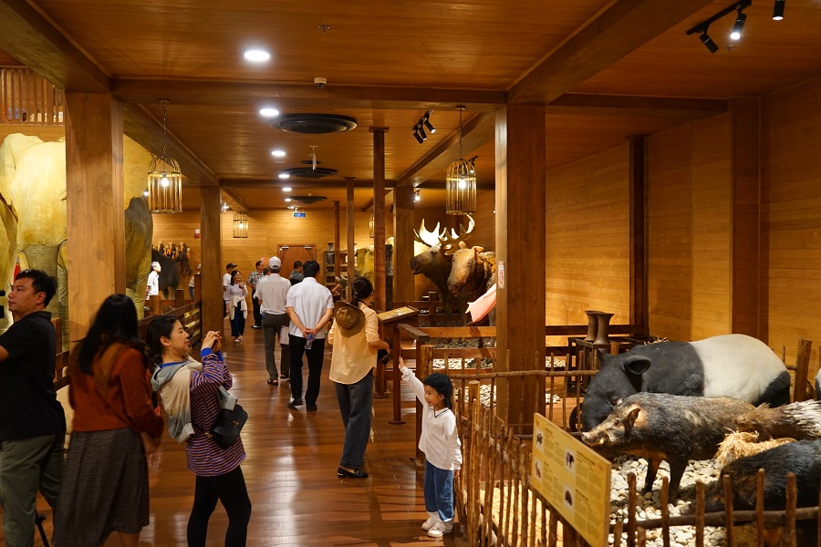 B&ecirc;n cạnh nhiều điểm đến, c&aacute;c khu vui chơi d&agrave;nh cho trẻ em cũng được đưa v&agrave;o trong c&aacute;c tour du lịch