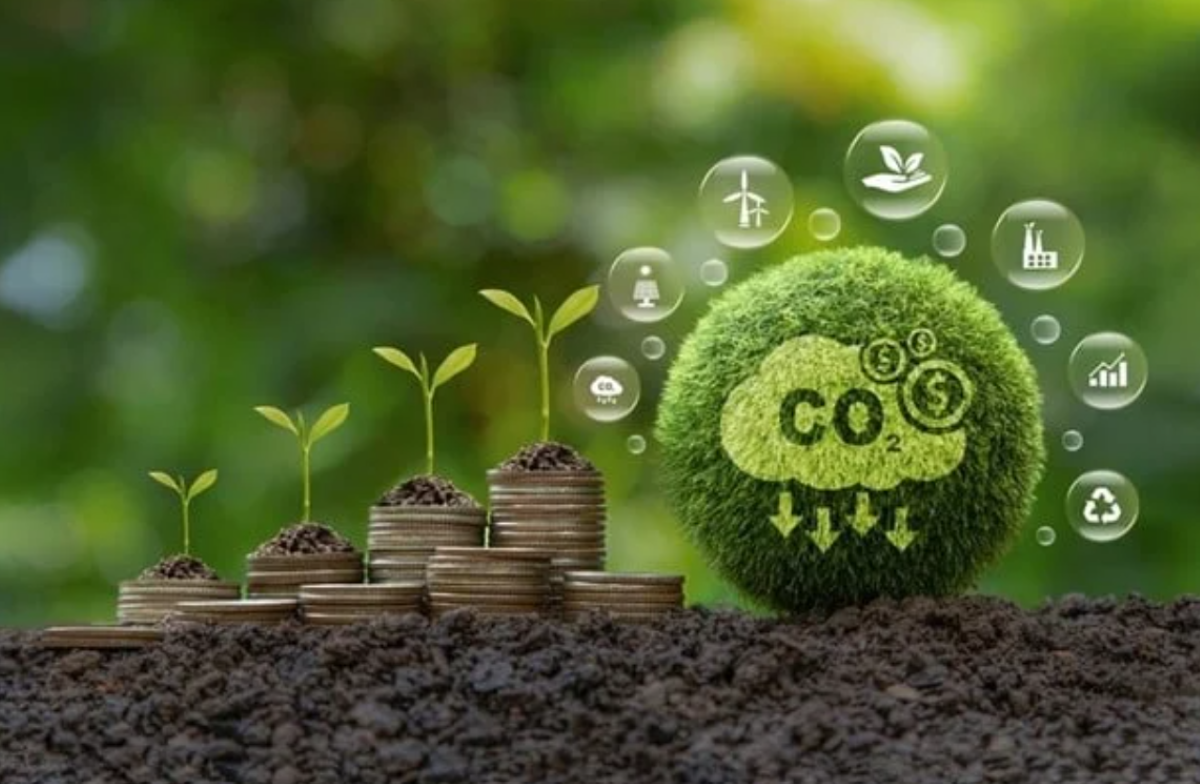 Việt Nam tăng cường hợp tác ASEAN trong triển khai sáng kiến carbon xanh dương