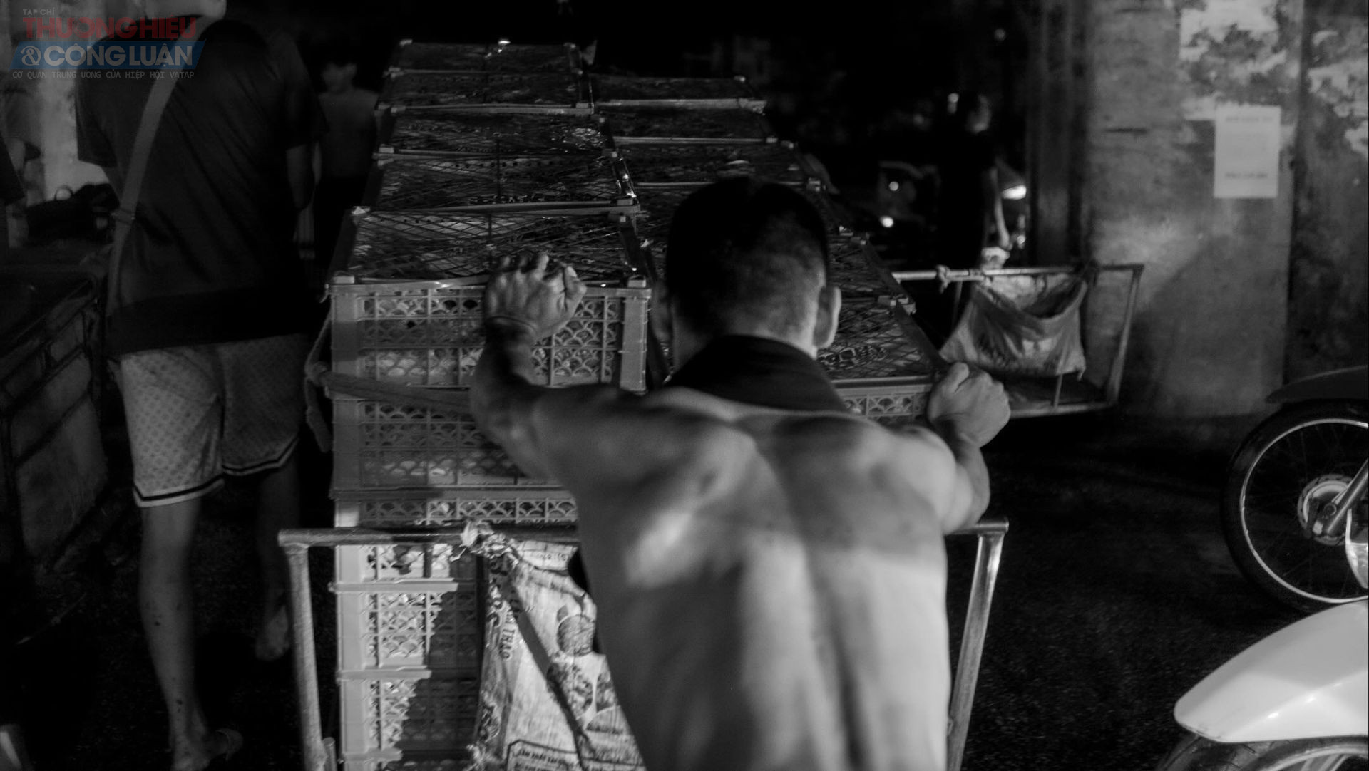Một cửu vạn gồng mình đẩy xe hàng nặng trĩu trong đêm tại chợ Long Biên. Dưới ánh đèn chợ mờ, những tấm lưng trần đẫm mồ hôi vẫn lặng lẽ kéo từng chuyến hàng mưu sinh khi phần lớn thành phố còn đang ngủ. Một cửu vạn gồng mình đẩy xe hàng nặng trĩu trong đêm tại chợ Long Biên. Dưới ánh đèn chợ mờ, những tấm lưng trần đẫm mồ hôi vẫn lặng lẽ kéo từng chuyến hàng mưu sinh khi phần lớn thành phố còn đang ngủ.