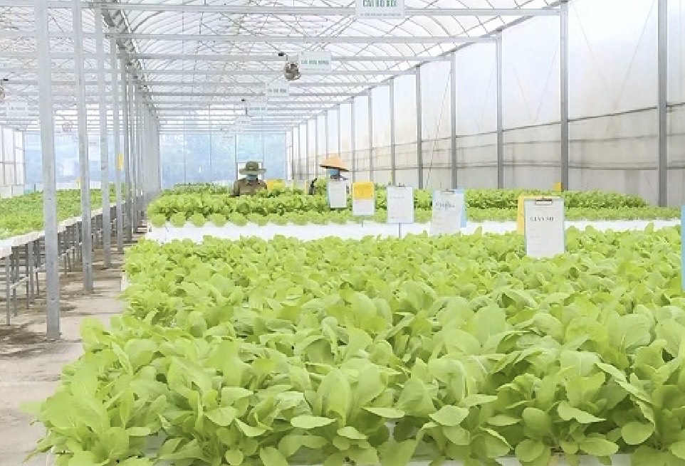 Tăng cường liên kết vùng, nâng cao giá trị nông sản xuất khẩu của Hà Nội