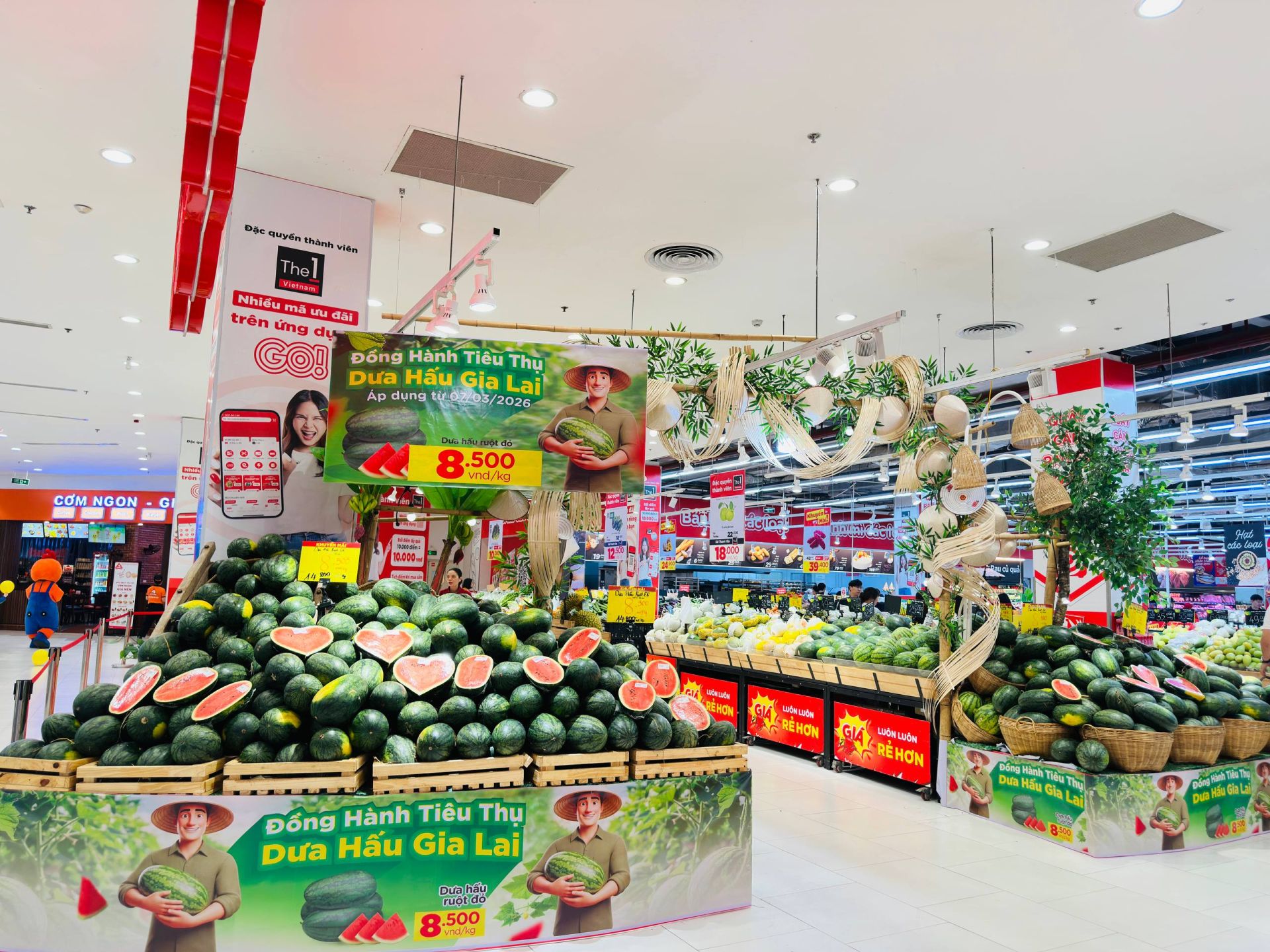 Hệ thống bán lẻ hỗ trợ đầu ra dưa hấu Gia Lai