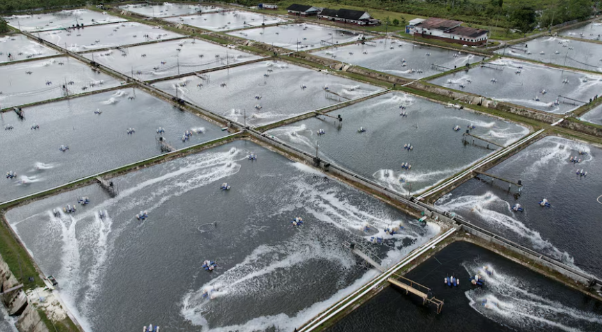 Mặt hàng Việt thu trăm triệu USD từ Trung Quốc và Nhật Bản