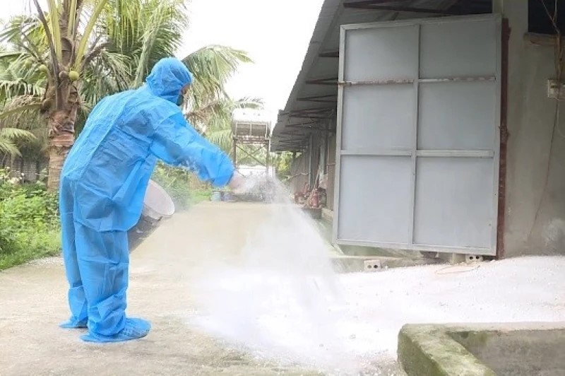 Thanh Hóa: Thực hiện Tháng tổng vệ sinh, khử trùng phòng, chống dịch bệnh gia súc, gia cầm