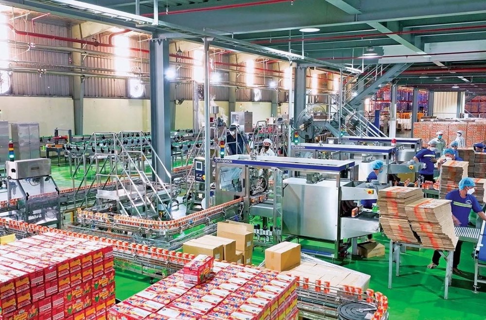 Sữa Quốc tế Lof lên kế hoạch doanh thu 8.300 tỷ đồng trong năm 2026