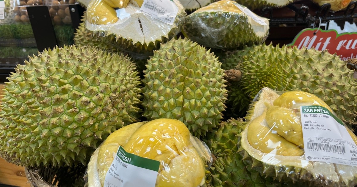 Sầu riêng Ri6 chiếm lĩnh thị trường TP. Hồ Chí Minh trong giai đoạn giáp vụ