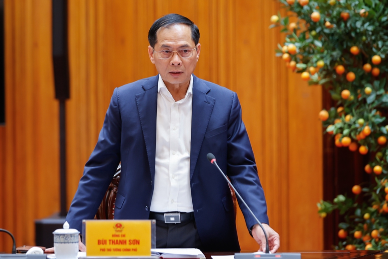 Ph&oacute; Thủ tướng B&ugrave;i Thanh Sơn ph&aacute;t biểu tại cuộc họp - Ảnh: VGP/Nhật Bắc