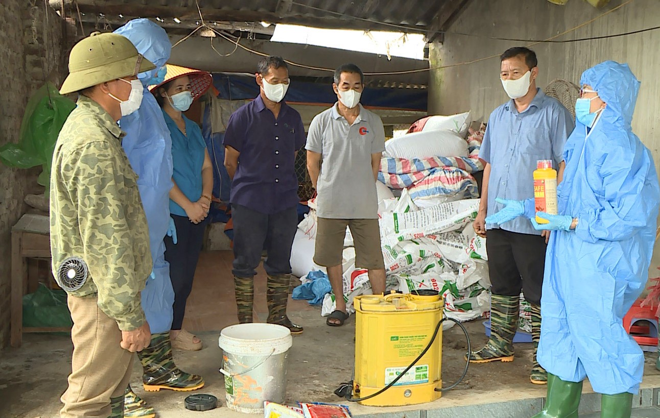 Thái Nguyên: Yêu cầu tăng cường các biện pháp phòng, chống dịch tả lợn châu Phi