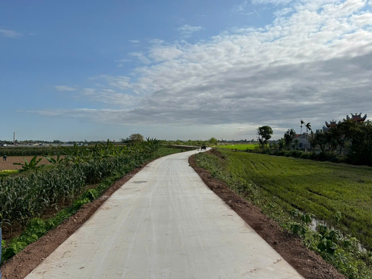 Hạng mục thi c&ocirc;ng gồm mở rộng mặt cắt đ&ecirc; bằng đất s&eacute;t đầm nện, gia cố mặt đ&ecirc; bằng b&ecirc; t&ocirc;ng xi măng, đồng thời gia cố ch&acirc;n taluy tại c&aacute;c khu vực ao bằng cọc tre, ph&ecirc;n nứa nhằm bảo vệ m&aacute;i đắp.