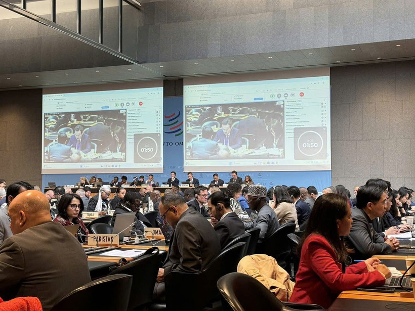 Đại sứ Mai Phan Dũng, Trưởng Ph&aacute;i đo&agrave;n Việt Nam tại Geneva ph&aacute;t biểu tại phi&ecirc;n họp. (Ảnh: Ph&aacute;i đo&agrave;n Việt Nam tại Geneva cung cấp)