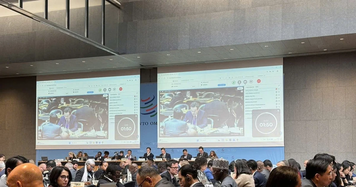 Việt Nam phát huy vai trò cầu nối, thúc đẩy đối thoại và kêu gọi các thành viên WTO tăng cường hợp tác