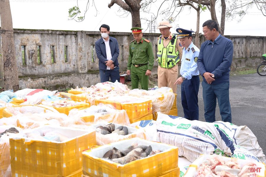 Hà Tĩnh: Bắt giữ và tiêu hủy gần 2,7 tấn thực phẩm từ động vật không rõ nguồn gốc
