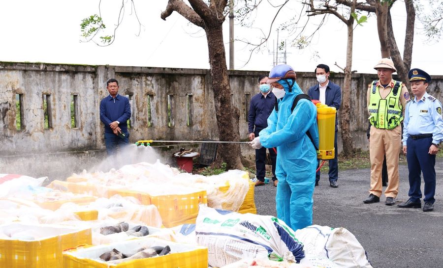 Lực lượng chức năng ti&ecirc;u hủy hơn 2,6 tấn thực phẩm kh&ocirc;ng r&otilde; nguồn gốc theo quy định