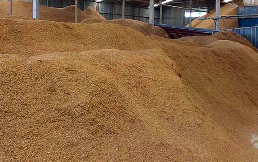 Cần Thơ: Doanh nghiệp đề nghị đầu tư Nhà máy điện trấu Hậu Giang công suất thiết kế 10MW