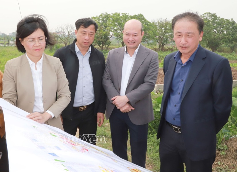 Ph&oacute; Chủ tịch UBND tỉnh Hưng Y&ecirc;n Nguyễn H&ugrave;ng Nam đã ki&ecirc;̉m tra, nghe báo cáo v&ecirc;̀ dự &aacute;n Khu phức hợp đ&ocirc; thị, du lịch sinh th&aacute;i s&acirc;n golf Kho&aacute;i Ch&acirc;u