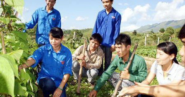 Bộ Nội vụ khẳng định đội viên Đề án 500 trí thức trẻ thuộc diện tiếp nhận vào công chức