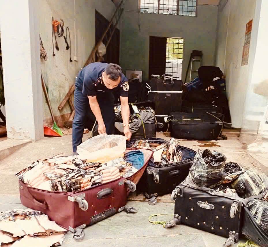 Liên tiếp phát hiện hơn 1,8 tấn chân gà, xúc xích, thịt xiên nhập lậu