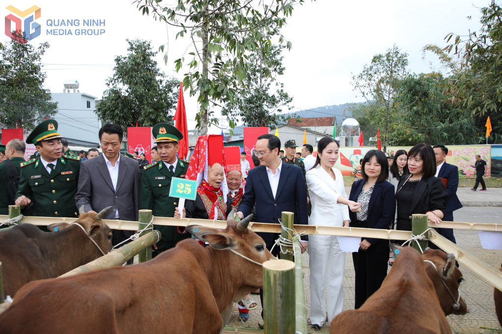 Người dân phấn khởi khi được nhận bò giống, tiếp thêm động lực để phát triển sinh kế, ổn định cuộc sống Người dân phấn khởi khi được nhận bò giống, tiếp thêm động lực để phát triển sinh kế, ổn định cuộc sống