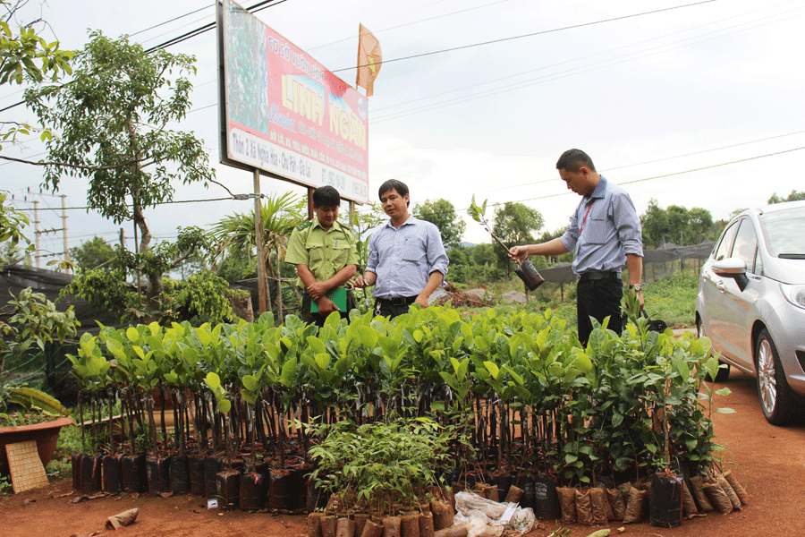 Bộ Tư pháp vừa công khai tài liệu thẩm định dự thảo Nghị định xử phạt vi phạm hành chính trong lĩnh vực trồng trọt, bảo vệ và kiểm dịch thực vật. Bộ Tư pháp vừa công khai tài liệu thẩm định dự thảo Nghị định xử phạt vi phạm hành chính trong lĩnh vực trồng trọt, bảo vệ và kiểm dịch thực vật.