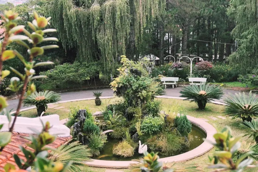 Khoảng sân xanh mát đầy thông bao quanh dinh thự Khoảng sân xanh mát đầy thông bao quanh dinh thự