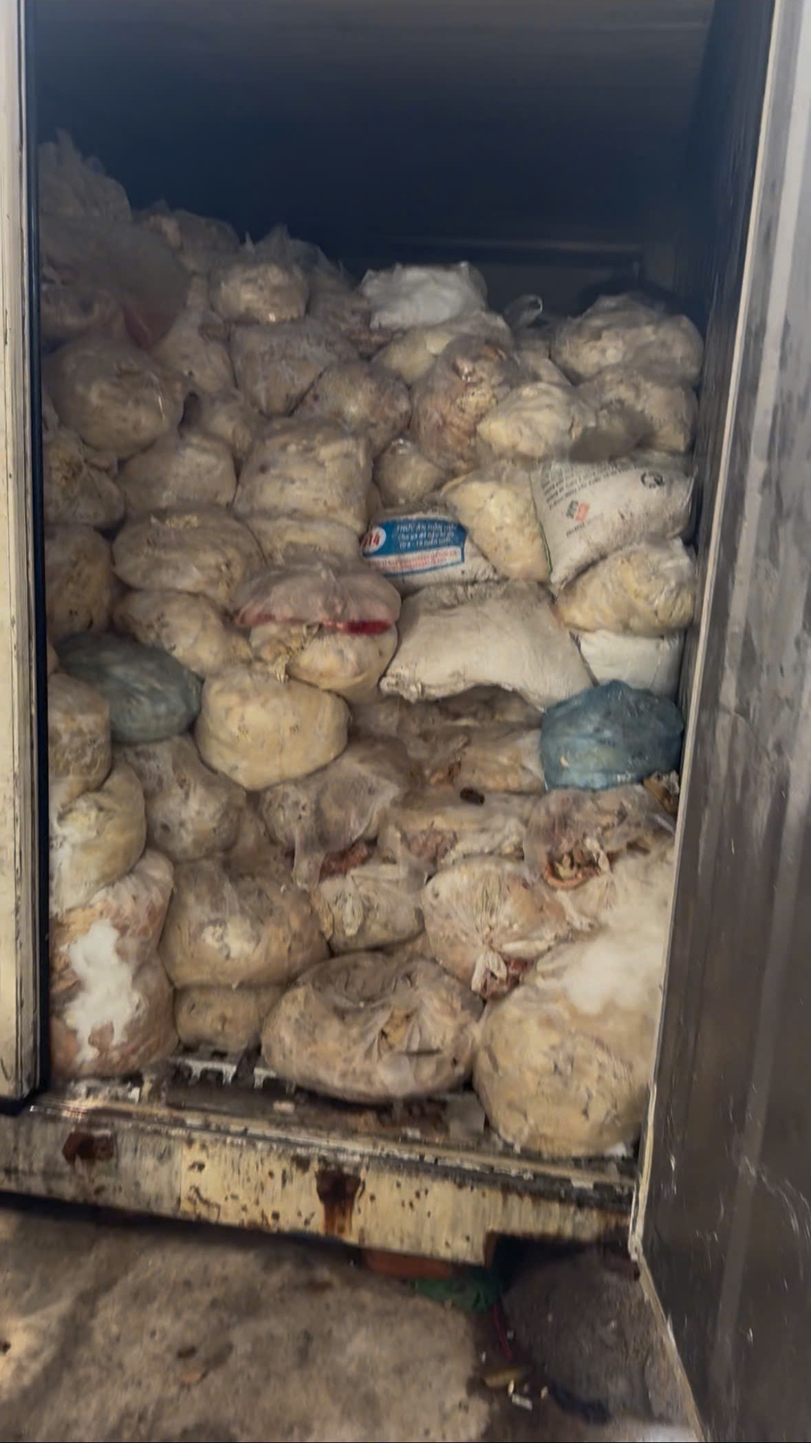 Bắc Ninh: Phát hiện 3 tấn lòng lợn không rõ nguồn gốc, xuất xứ