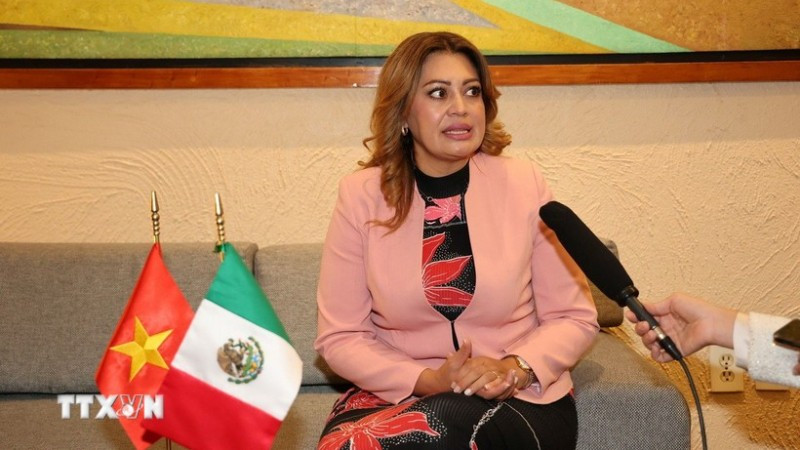 Bầu cử Quốc hội và Hội đồng nhân dân: Củng cố vai trò hoạch định chính sách trong phát triển đất nước