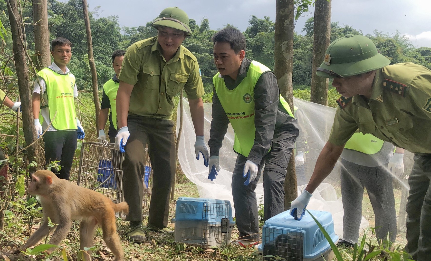 Phát hiện, xử lý 1.784 vụ vi phạm về bảo vệ động vật hoang dã và nguồn lợi thủy sản