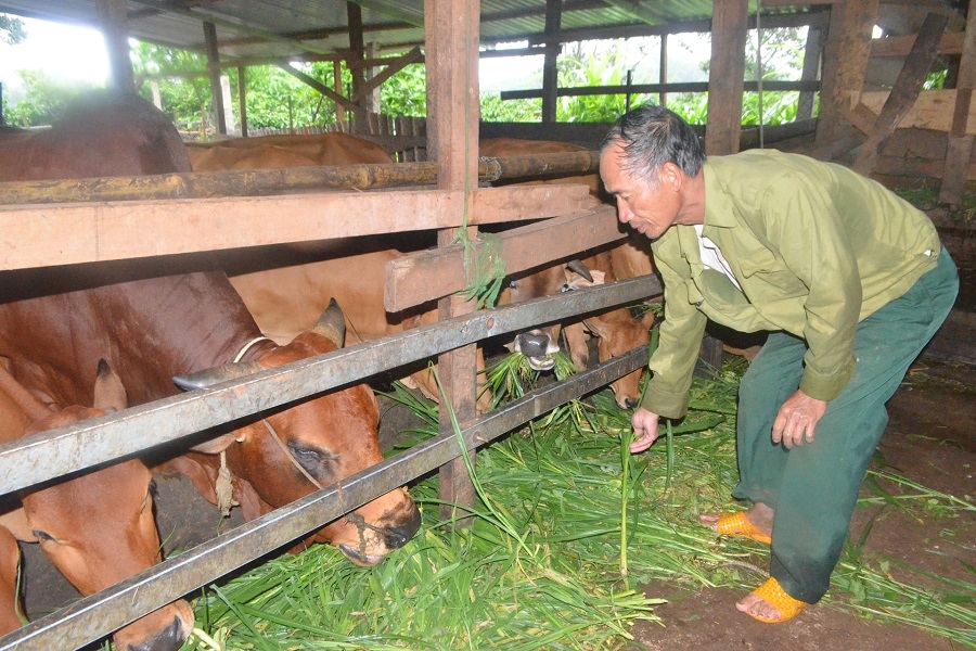 Đ&ecirc;́n h&ecirc;́t năm 2026, L&acirc;m Đồng phấn đấu đạt đ&agrave;n gia s&uacute;c tr&ecirc;n 2 tri&ecirc;̣u con