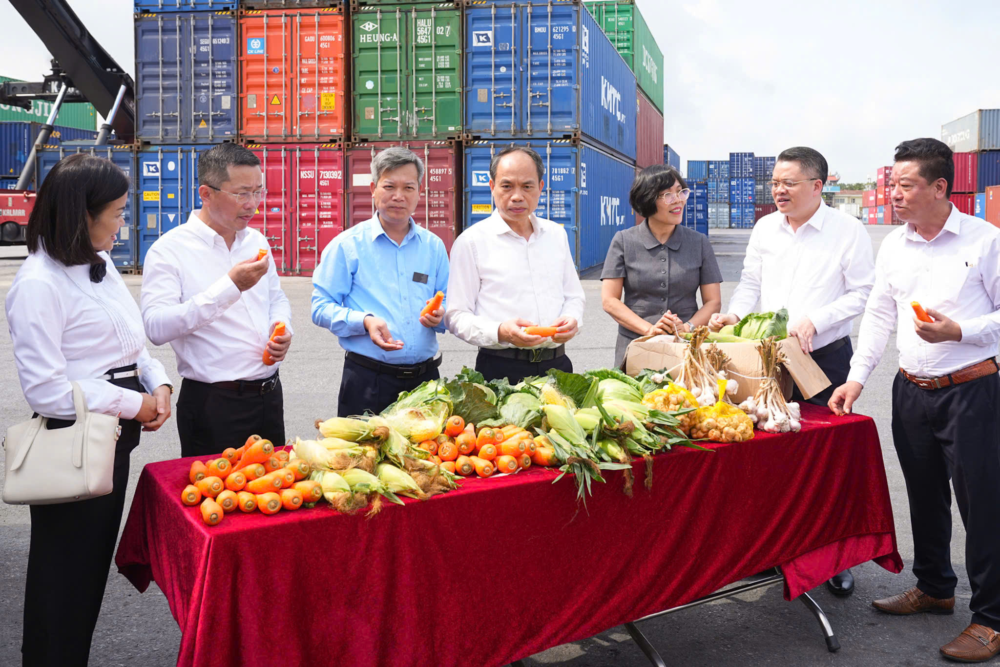 Chương trình “Kết nối hỗ trợ tiêu thụ nông sản cho bà con, nông dân Hải Phòng”