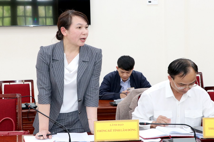 Đại diện Thống k&ecirc; tỉnh ph&aacute;t biểu &yacute; kiến tại cuộc họp