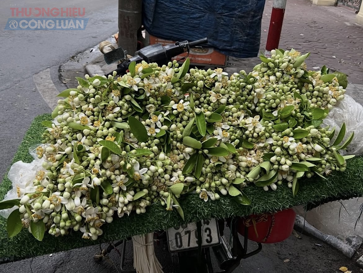 Đ&oacute; kh&ocirc;ng chỉ l&agrave; m&ugrave;i hương của một lo&agrave;i hoa, m&agrave; c&ograve;n l&agrave; k&yacute; ức, l&agrave; cảm x&uacute;c, l&agrave; n&eacute;t thanh tao lặng lẽ giữa l&ograve;ng H&agrave; Nội. V&agrave; mỗi khi th&aacute;ng Ba trở lại, người ta lại mong chờ được một lần nữa đi giữa phố, để h&iacute;t h&agrave; hương hoa bưởi v&agrave; t&igrave;m lại những dịu d&agrave;ng rất cũ.