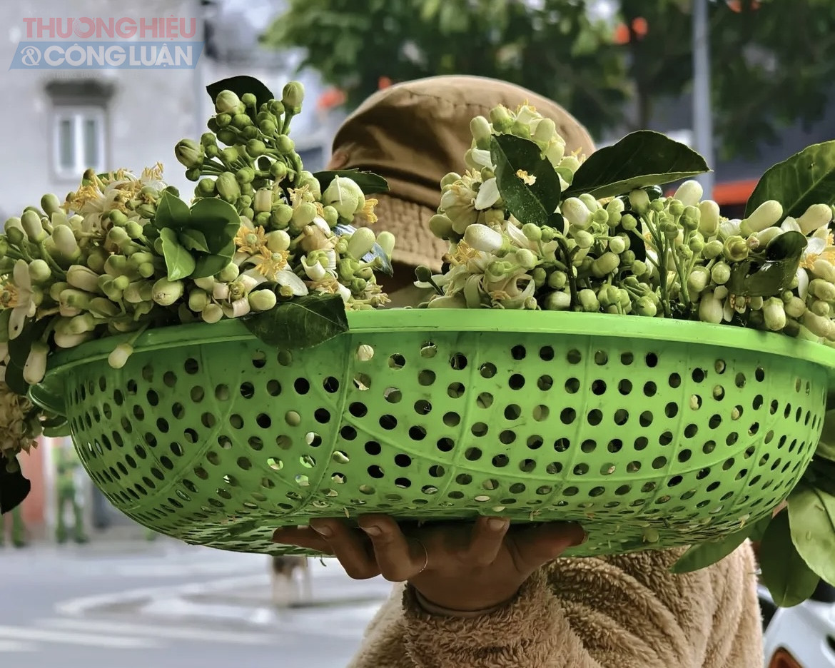 Một người b&aacute;n kh&aacute;c cho biết th&ecirc;m: &ldquo;B&aacute;n hoa bưởi kh&ocirc;ng giống b&aacute;n c&aacute;c loại hoa kh&aacute;c. Hoa giản dị nhưng lại c&oacute; c&aacute;i hồn ri&ecirc;ng, n&ecirc;n người mua cũng nhẹ nh&agrave;ng, kh&ocirc;ng mặc cả nhiều.&rdquo;