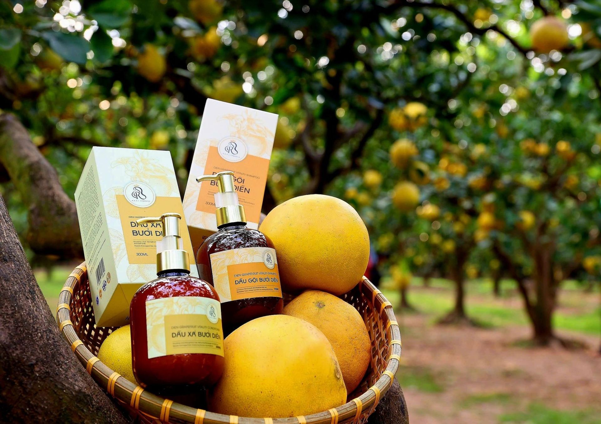 C&aacute;c sản phẩm thương hiệu HalalViet của HTX H&agrave; Nội Xanh được Cục Quản l&yacute; v&agrave; Ph&aacute;t triển thị trường trong nước hỗ trợ giới thiệu quảng b&aacute; trong chương tr&igrave;nh Sức sống h&agrave;ng Việt số 3