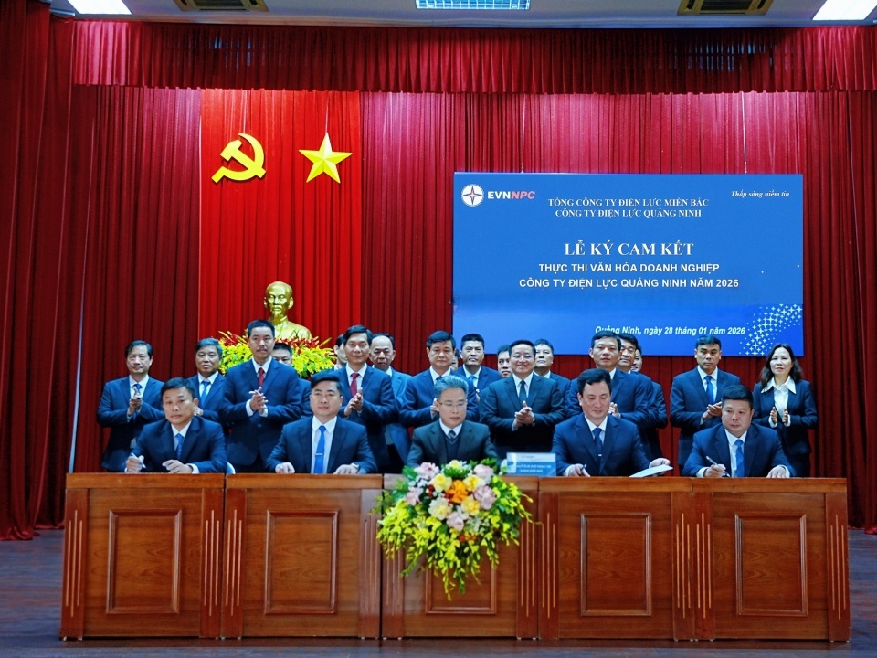 Công ty Điện lực Quảng Ninh: Hành trình Văn hóa an toàn 2026 - Lan tỏa ý thức, vững bước tương lai