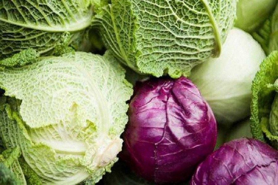 Lâm Đồng phát triển vùng trồng phục vụ xuất khẩu sang thị trường Philippines