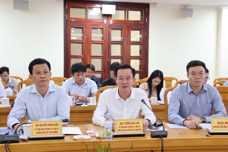 Ph&oacute; Chủ tịch Thường trực UBND tỉnh Trần B&aacute;u H&agrave; ph&aacute;t biểu tại buổi l&agrave;m việc