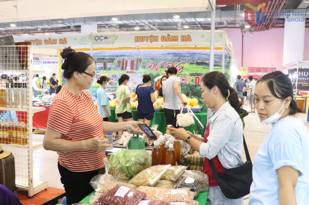 Quảng Ninh: Nhiều giải pháp phát triển thương mại điện tử