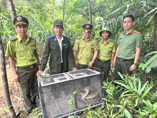 Đà Nẵng: Người dân phường An Khê phát hiện trăn gấm quý hiếm gần 1 kg bò vào khu dân cư