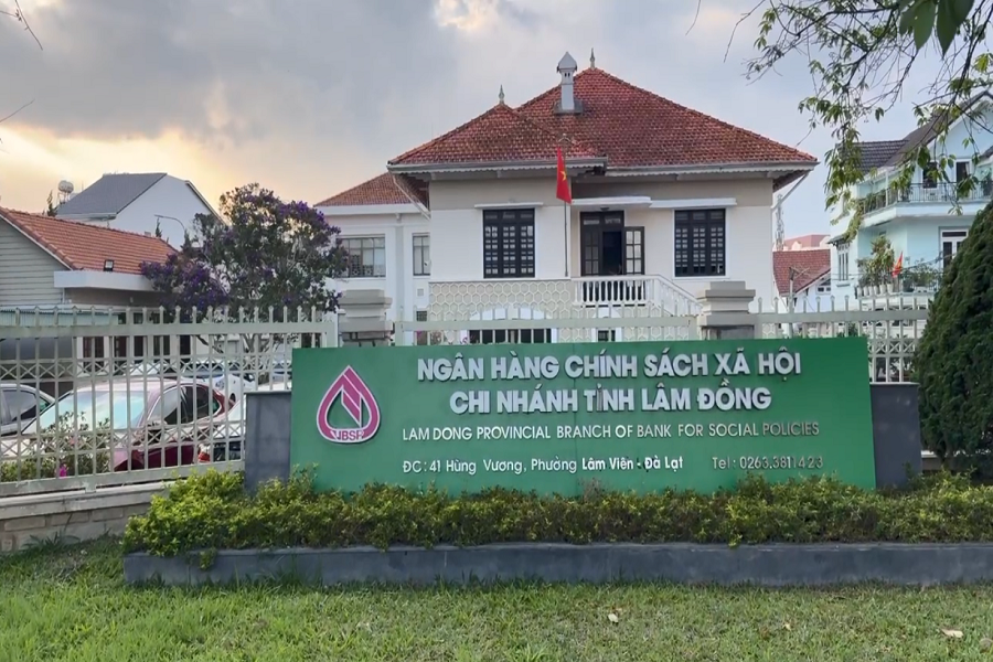 Trụ sở Chi nh&aacute;nh Ng&acirc;n h&agrave;ng Ch&iacute;nh s&aacute;ch x&atilde; hội tỉnh L&acirc;m Đồng