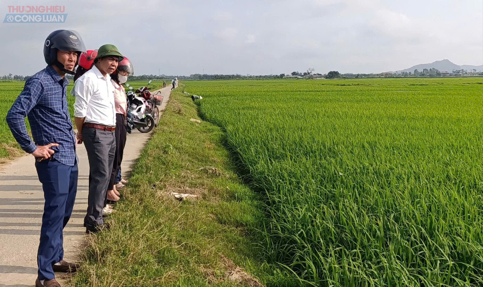 Đo&agrave;n kiểm tra do &ocirc;ng Nguyễn Sỹ Hiệp &ndash; Ủy vi&ecirc;n Ban Thường vụ Đảng ủy, Ph&oacute; Chủ tịch Ủy ban nh&acirc;n d&acirc;n x&atilde; &ndash; trực tiếp dẫn đầu. Tham gia c&ugrave;ng đo&agrave;n c&oacute; đại diện Ph&ograve;ng Kinh tế, c&aacute;n bộ chuy&ecirc;n m&ocirc;n, gi&aacute;m đốc c&aacute;c hợp t&aacute;c x&atilde; n&ocirc;ng nghiệp, vi&ecirc;n chức Trung t&acirc;m cung ứng dịch vụ v&agrave; đội ngũ khuyến n&ocirc;ng cơ sở.
