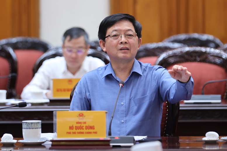 Ph&oacute; Thủ tướng Ch&iacute;nh phủ Hồ Quốc Dũng ph&aacute;t biểu - Ảnh: VGP/Nhật Bắc