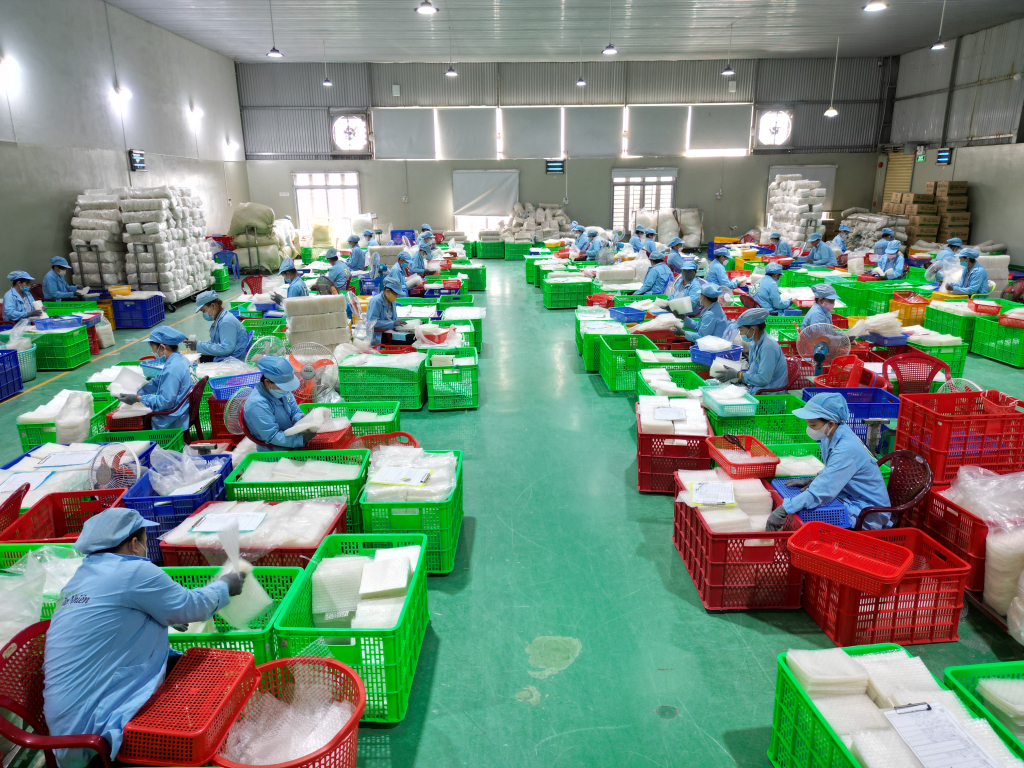 Tây Ninh hỗ trợ pháp lý liên ngành cho doanh nghiệp nhỏ và vừa