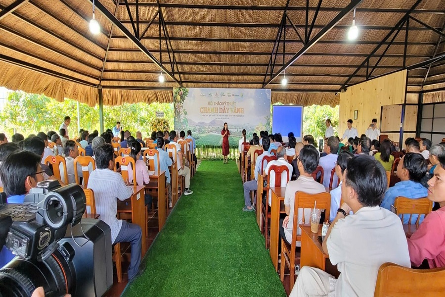 Đại biểu tham dự Hội thảo Đại biểu tham dự Hội thảo