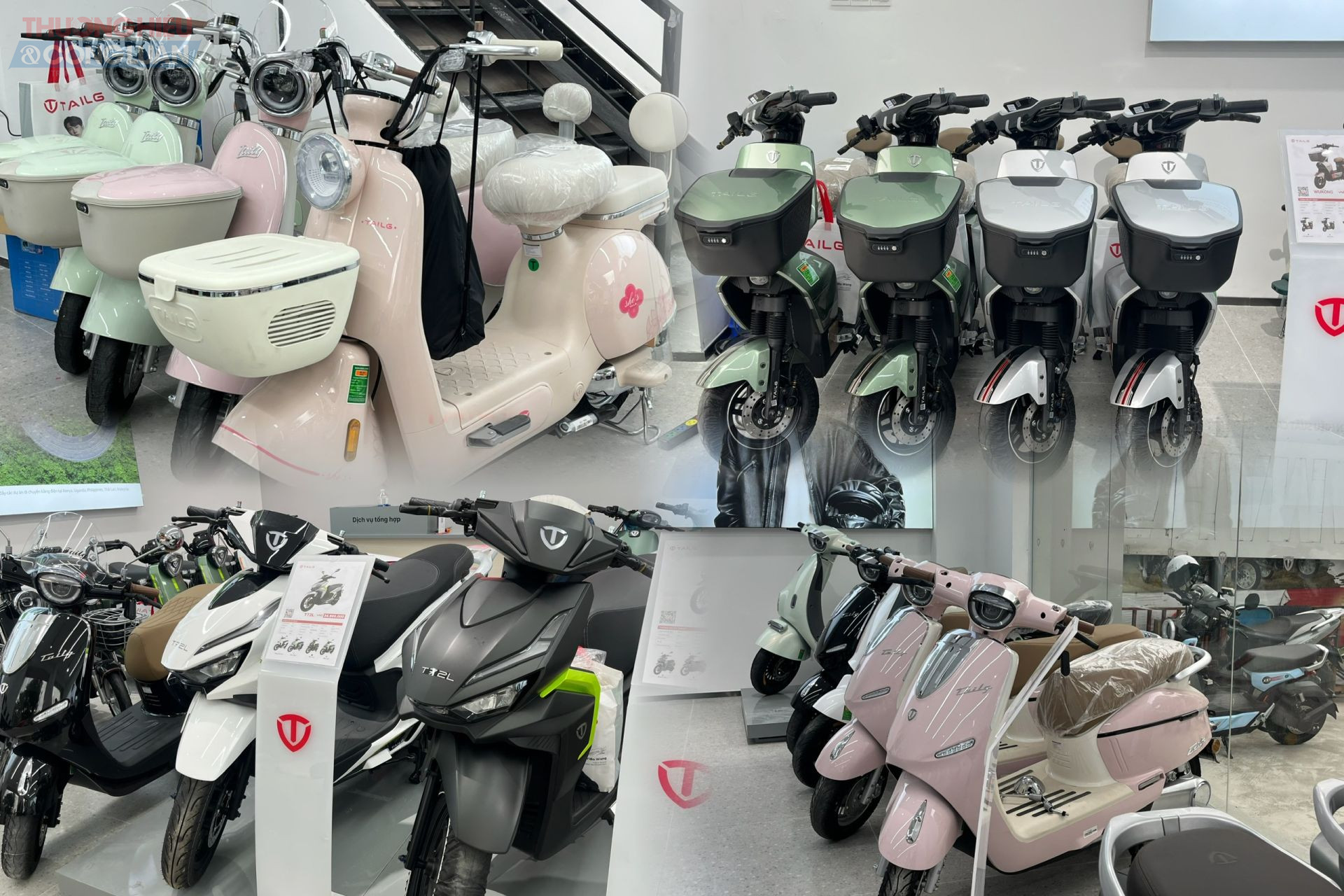 Các mẫu xe TAILG tại đây khá đa dạng, sở hữu thiết kế nhỏ gọn, trẻ trung với nhiều màu sắc bắt mắt, phù hợp với khách hàng nữ; quãng đường di chuyển khoảng 60 km cho mỗi lần sạc, giá bán dao động từ 10–16 triệu đồng. Bên cạnh đó, cửa hàng cũng cung cấp các dòng xe có công suất mạnh mẽ hơn, hướng tới khách hàng nam, với khả năng vận hành từ 70–100 km mỗi lần sạc. Các mẫu xe TAILG tại đây khá đa dạng, sở hữu thiết kế nhỏ gọn, trẻ trung với nhiều màu sắc bắt mắt, phù hợp với khách hàng nữ; quãng đường di chuyển khoảng 60 km cho mỗi lần sạc, giá bán dao động từ 10–16 triệu đồng. Bên cạnh đó, cửa hàng cũng cung cấp các dòng xe có công suất mạnh mẽ hơn, hướng tới khách hàng nam, với khả năng vận hành từ 70–100 km mỗi lần sạc.